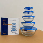Delisoga 5 Pcs Glass Bowls Set with Blue Lids – 5 Different Sizes
