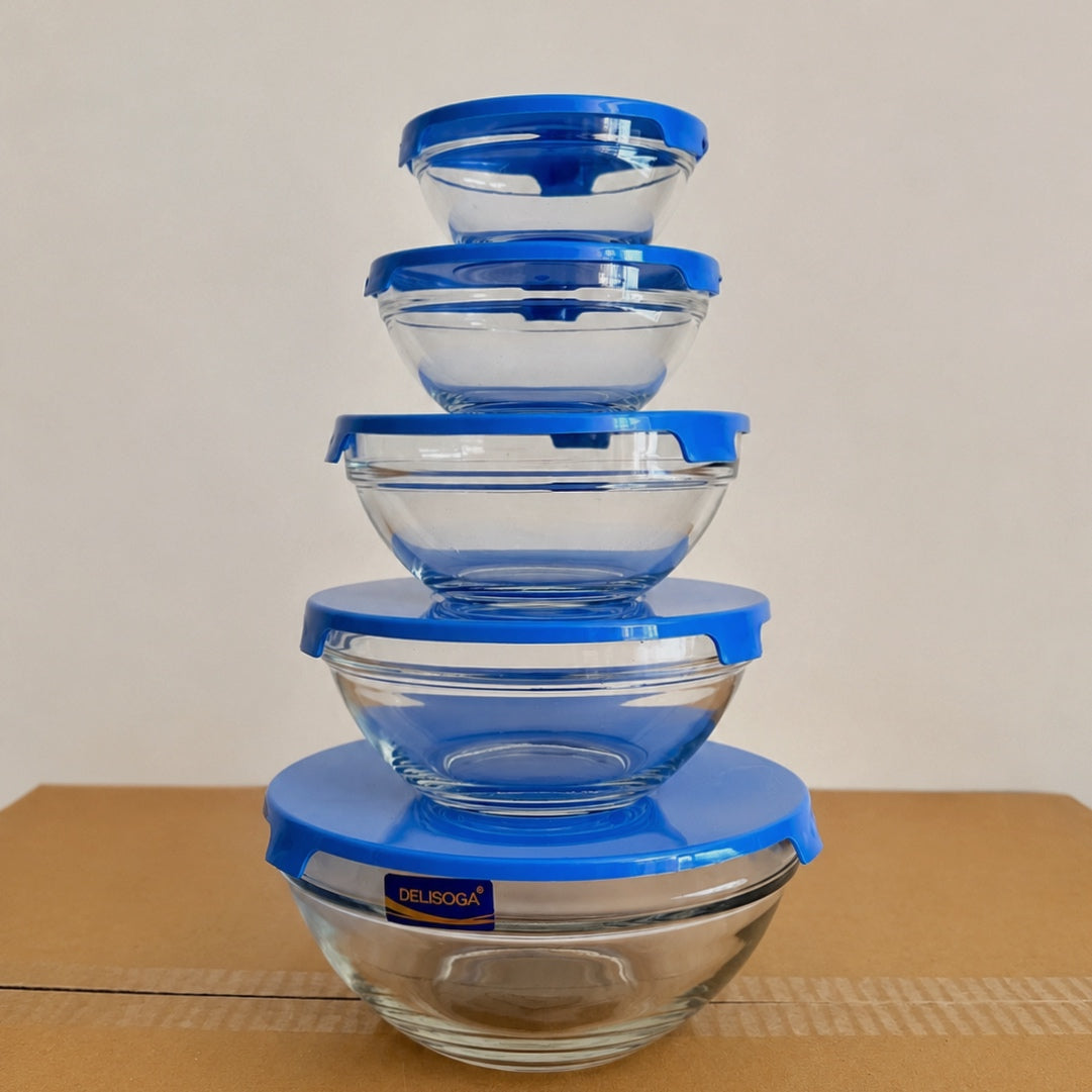 Delisoga 5 Pcs Glass Bowls Set with Blue Lids – 5 Different Sizes