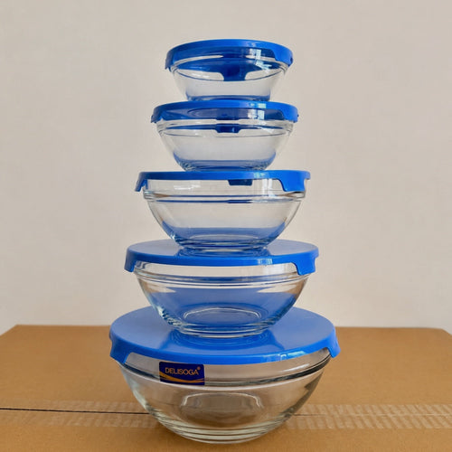 Delisoga 5 Pcs Glass Bowls Set with Blue Lids – 5 Different Sizes