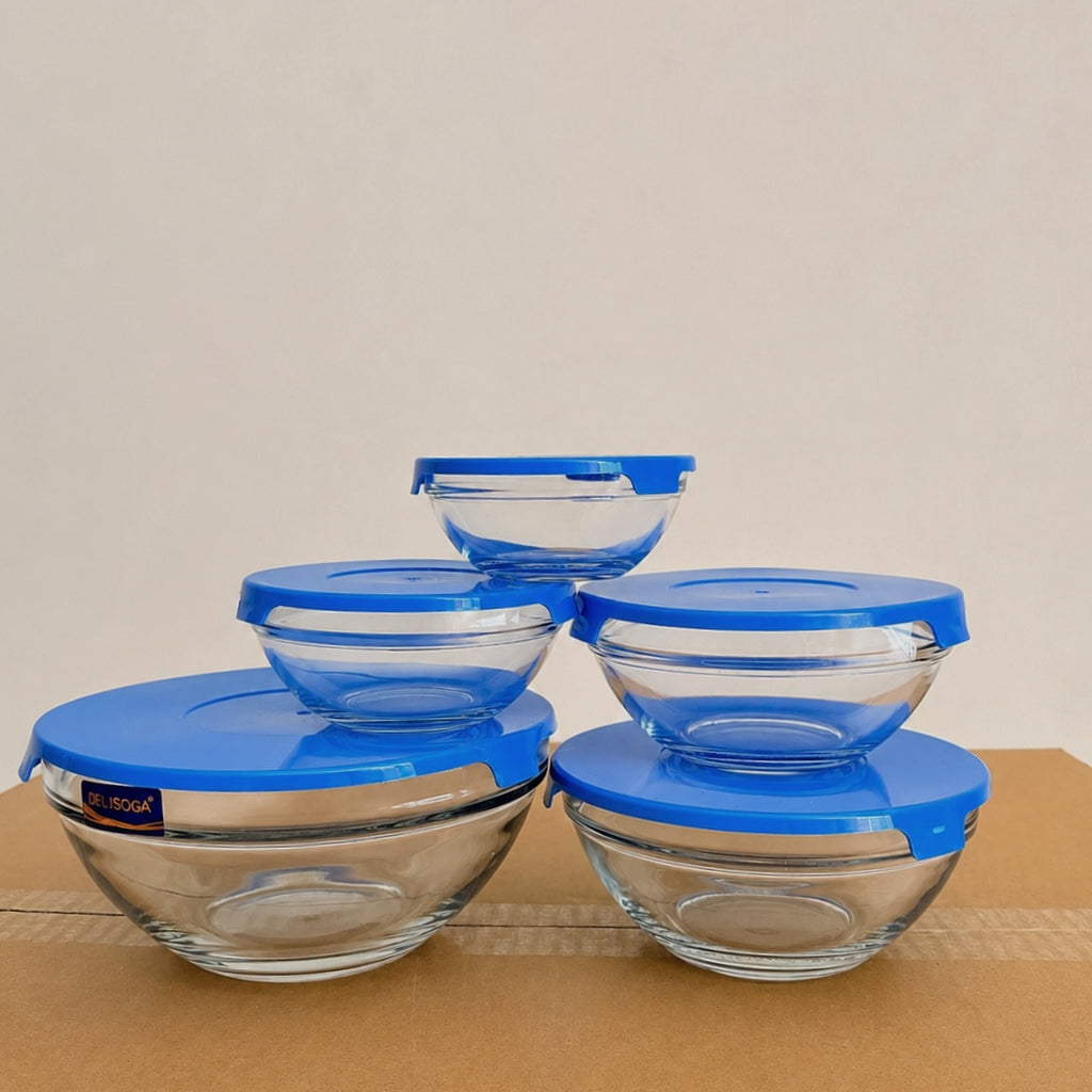 Delisoga 5 Pcs Glass Bowls Set with Blue Lids – 5 Different Sizes