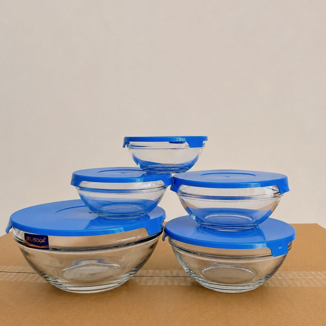 Delisoga 5 Pcs Glass Bowls Set with Blue Lids – 5 Different Sizes